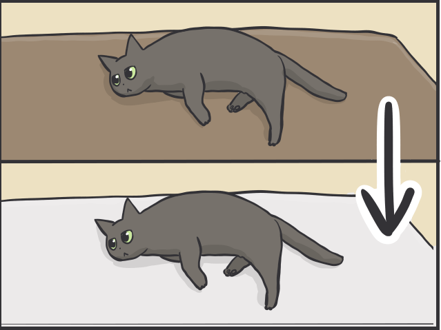 「猫かと思ったら物」「夜は闇に紛れる」2匹の黒猫と暮らす私が見つけた「黒猫あるある」／フニャコ（4）