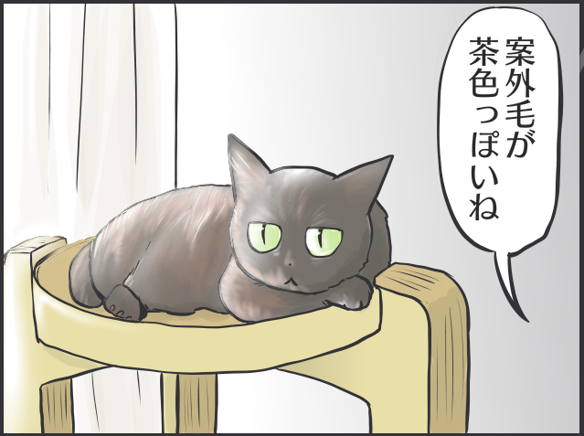 「猫かと思ったら物」「夜は闇に紛れる」2匹の黒猫と暮らす私が見つけた「黒猫あるある」／フニャコ（6）