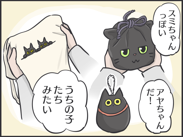 「猫かと思ったら物」「夜は闇に紛れる」2匹の黒猫と暮らす私が見つけた「黒猫あるある」／フニャコ（8）