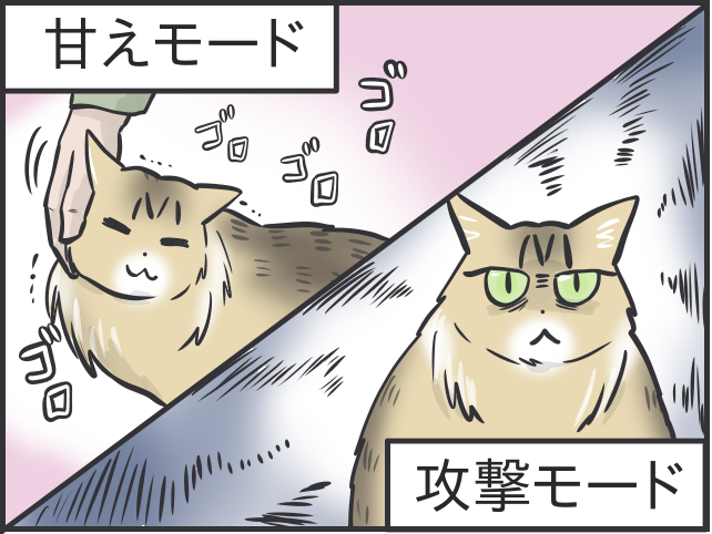 甘えモードと攻撃モードの落差よ...！いじらしくもツンデレな実家の猫のこと／フニャコ（1）