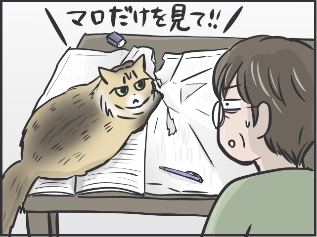 甘えモードと攻撃モードの落差よ...！いじらしくもツンデレな実家の猫のこと／フニャコ（5）