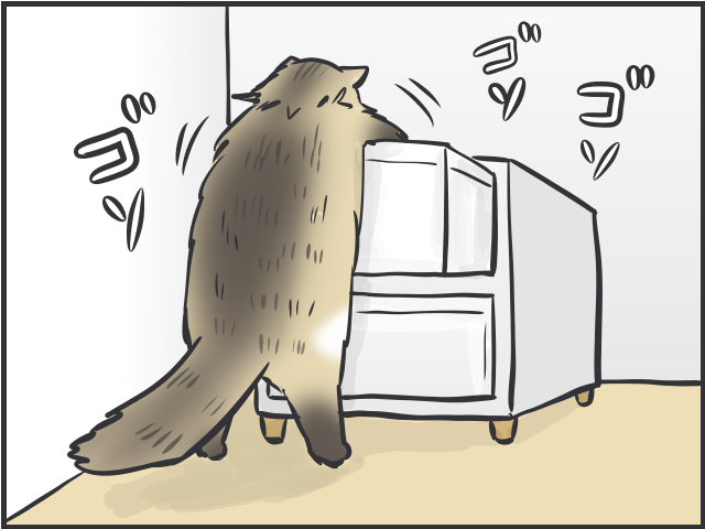 甘えモードと攻撃モードの落差よ...！いじらしくもツンデレな実家の猫のこと／フニャコ（7）