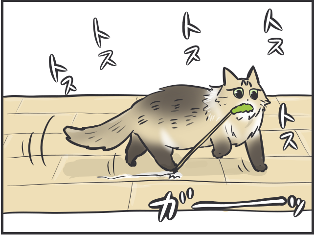 甘えモードと攻撃モードの落差よ...！いじらしくもツンデレな実家の猫のこと／フニャコ（8）