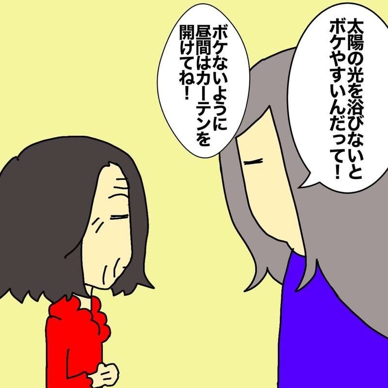 4階の部屋を覗かれている？ 認知症の母が不安がるようになって...／ワフウフ（3）