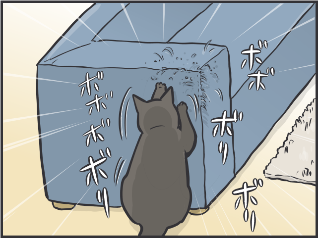 「ソファが爪研ぎに」「偏食すぎ」猫との日々は大変なことも多いけど...／フニャコ（1）