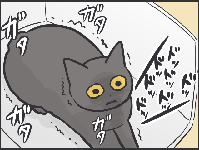 「ソファが爪研ぎに」「偏食すぎ」猫との日々は大変なことも多いけど...／フニャコ（4）