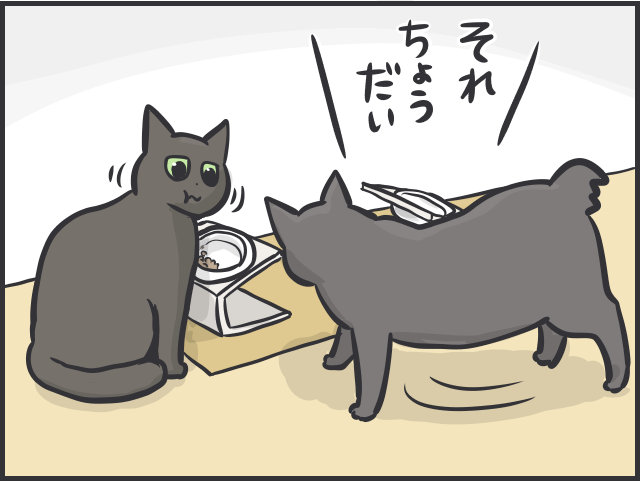 「ソファが爪研ぎに」「偏食すぎ」猫との日々は大変なことも多いけど...／フニャコ（5）