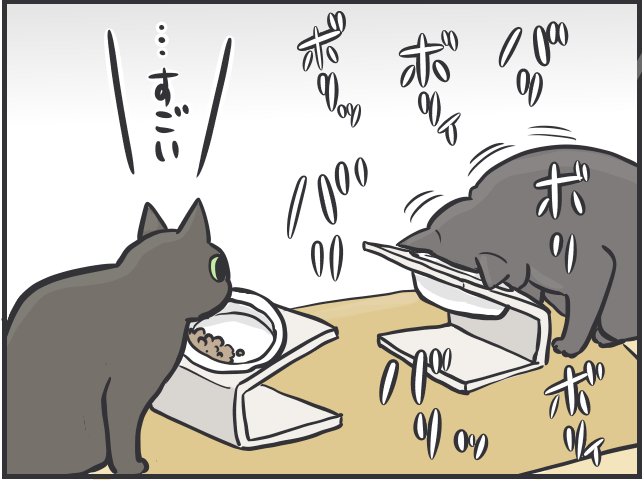 「ソファが爪研ぎに」「偏食すぎ」猫との日々は大変なことも多いけど...／フニャコ（6）