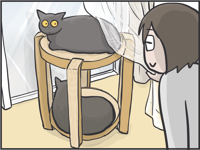 「ソファが爪研ぎに」「偏食すぎ」猫との日々は大変なことも多いけど...／フニャコ（9）
