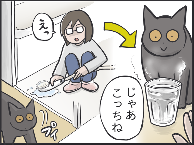 「愛猫が喜ぶ動画は...」「追いかけっこ終了の合図は...」細かすぎる愛猫のルーティン／フニャコ（5）