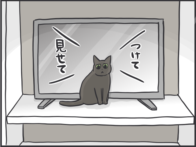 「愛猫が喜ぶ動画は...」「追いかけっこ終了の合図は...」細かすぎる愛猫のルーティン／フニャコ（6）