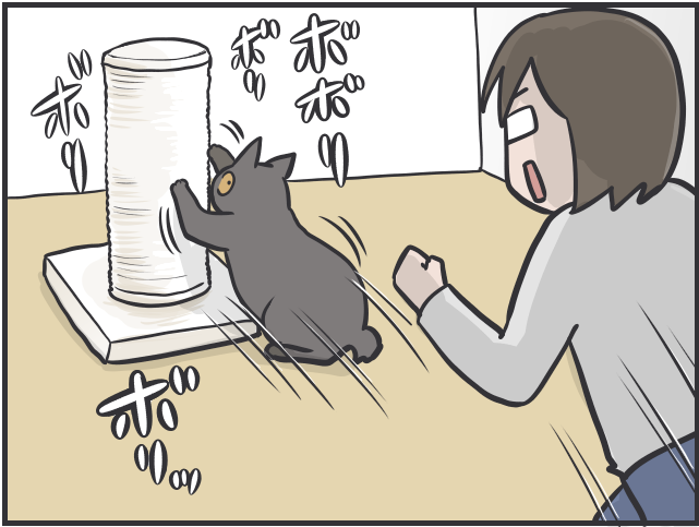 「愛猫が喜ぶ動画は...」「追いかけっこ終了の合図は...」細かすぎる愛猫のルーティン／フニャコ（7）