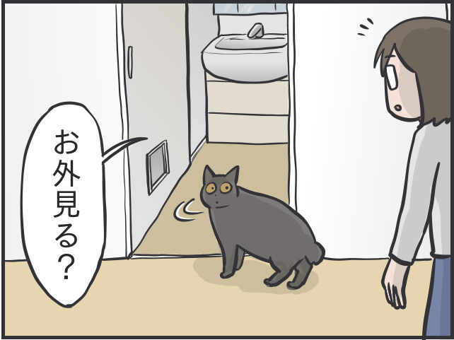 「愛猫が喜ぶ動画は...」「追いかけっこ終了の合図は...」細かすぎる愛猫のルーティン／フニャコ（9）