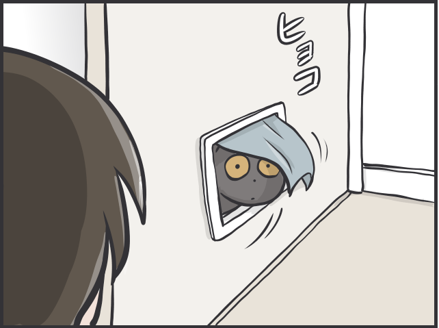 愛猫との"相席"がルーティンに。我が家のトイレ内に猫のトイレを設置してみたら...／フニャコ（2）