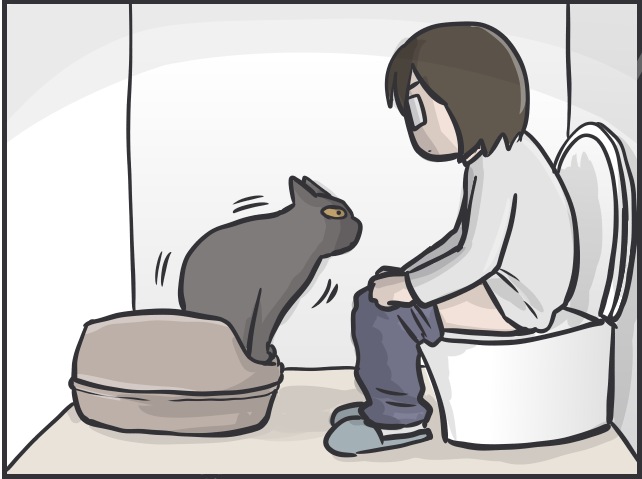 愛猫との"相席"がルーティンに。我が家のトイレ内に猫のトイレを設置してみたら...／フニャコ（6）