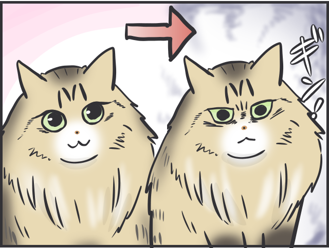 「猫はクール」と言われるけど...猫だって実は表情豊かだと思う理由／フニャコ（1）