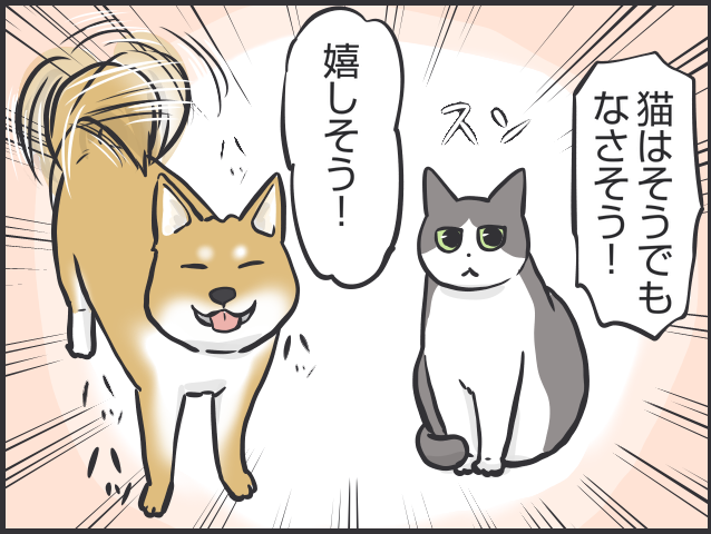 「猫はクール」と言われるけど...猫だって実は表情豊かだと思う理由／フニャコ（2）