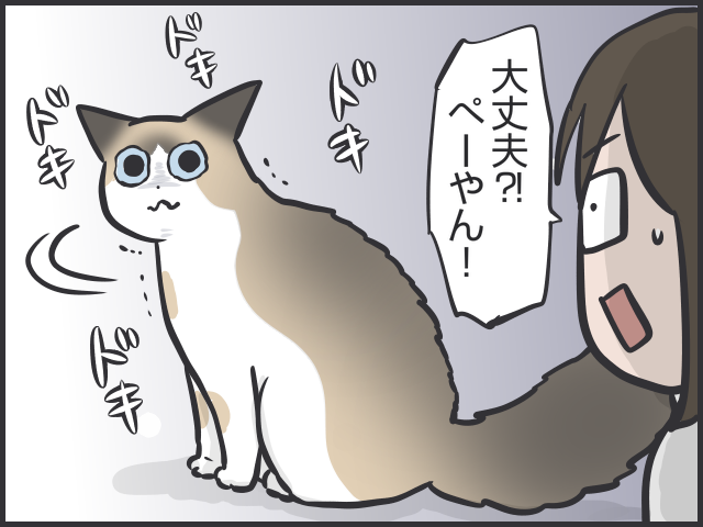 「猫はクール」と言われるけど...猫だって実は表情豊かだと思う理由／フニャコ（3）