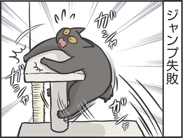 「猫はクール」と言われるけど...猫だって実は表情豊かだと思う理由／フニャコ（4）