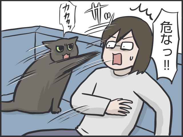 「猫はクール」と言われるけど...猫だって実は表情豊かだと思う理由／フニャコ（6）