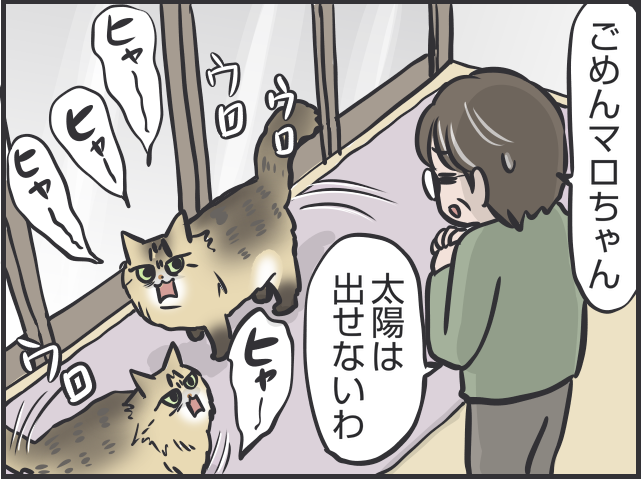 「猫はクール」と言われるけど...猫だって実は表情豊かだと思う理由／フニャコ（8）