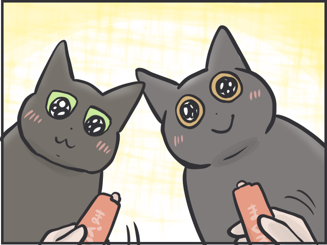「猫はクール」と言われるけど...猫だって実は表情豊かだと思う理由／フニャコ（9）
