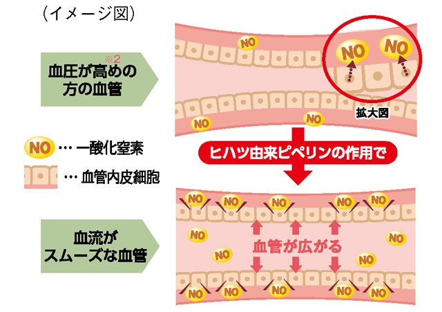 そんなに手軽で簡単なの？　気になる血圧に、長続きさせやすい新習慣って？＜PR＞（7）