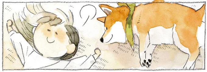 『柴犬ぽんちゃん、今日もわが道を行く2』（1）