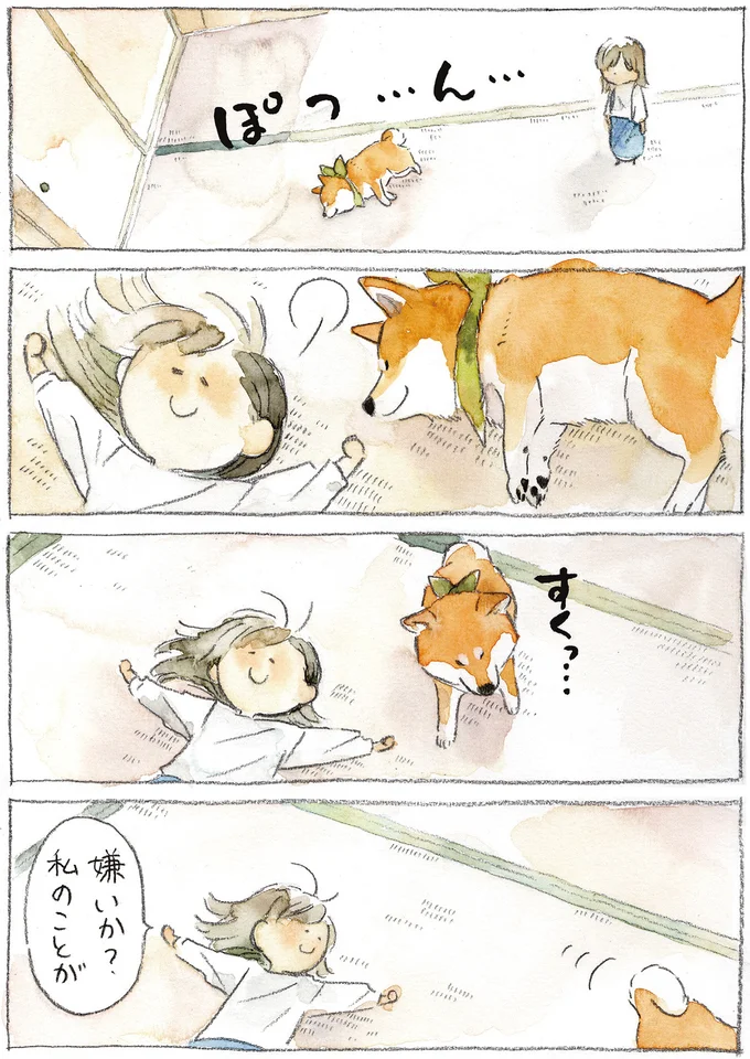 『柴犬ぽんちゃん、今日もわが道を行く2』（2）