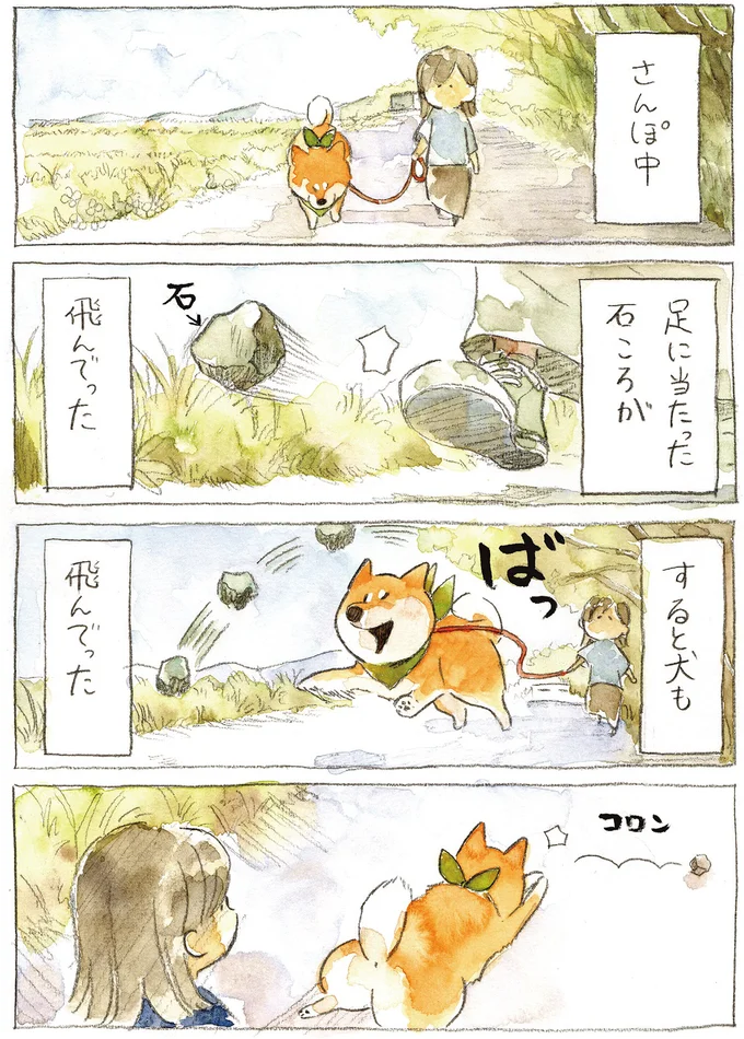 『柴犬ぽんちゃん、今日もわが道を行く2』（3）