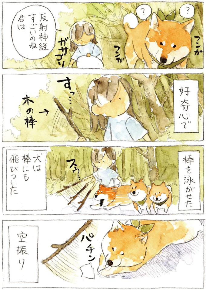 『柴犬ぽんちゃん、今日もわが道を行く2』（4）
