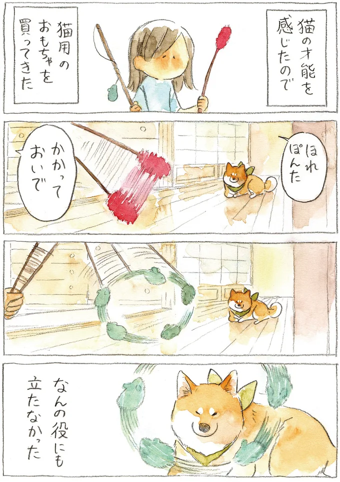 『柴犬ぽんちゃん、今日もわが道を行く2』（5）