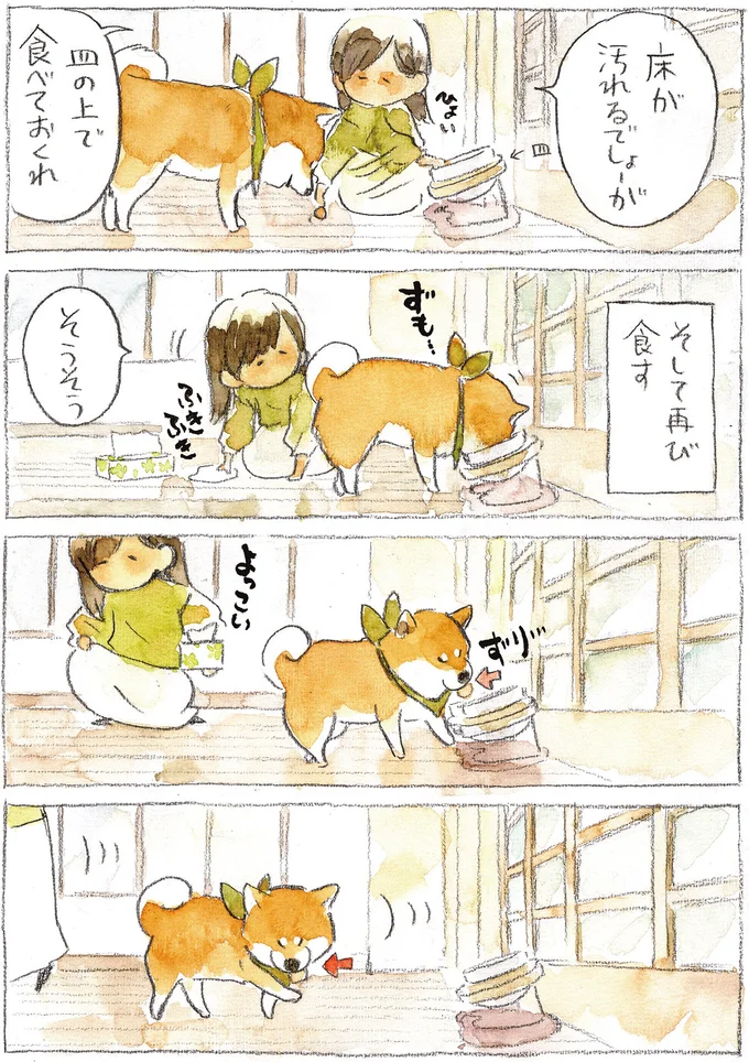 『柴犬ぽんちゃん、今日もわが道を行く2』（8）
