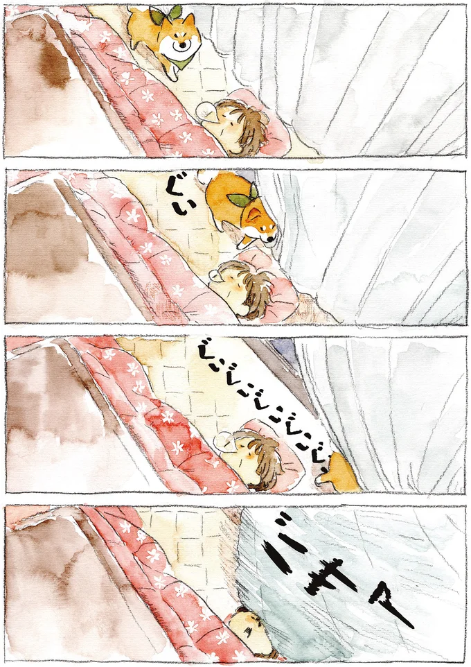 『柴犬ぽんちゃん、今日もわが道を行く2』（16）