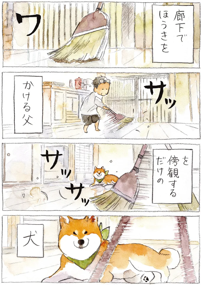 『柴犬ぽんちゃん、今日もわが道を行く2』（17）