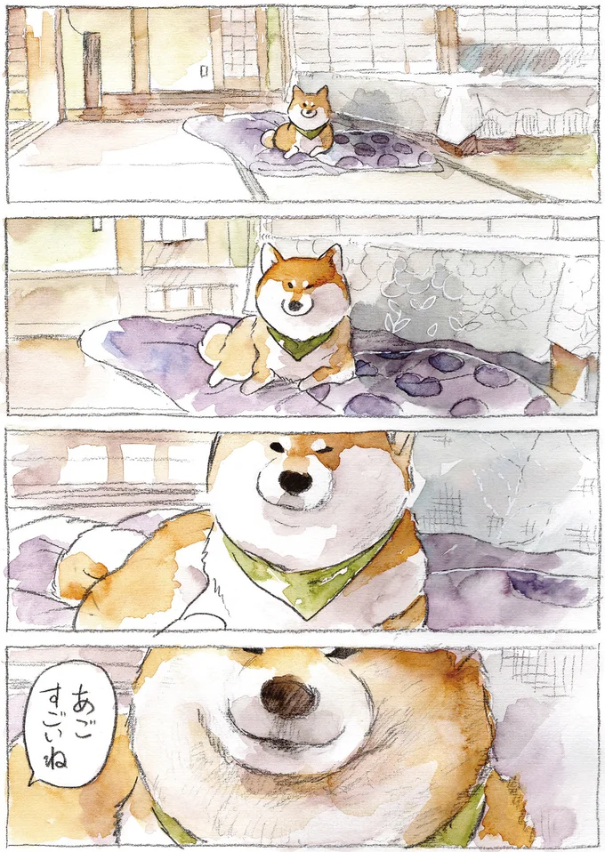 『柴犬ぽんちゃん、今日もわが道を行く2』（19）