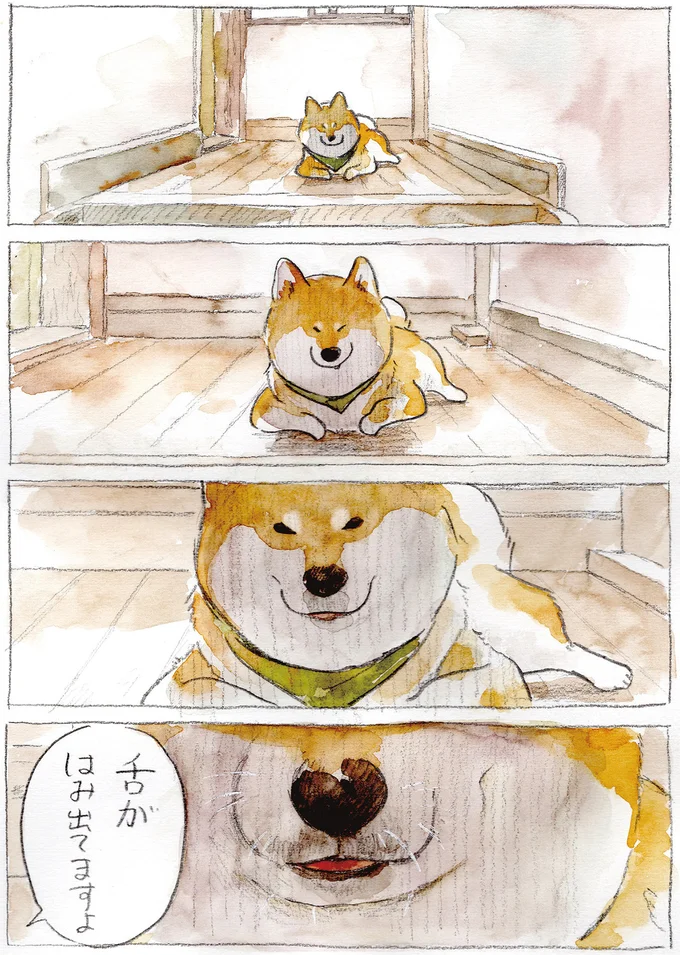 『柴犬ぽんちゃん、今日もわが道を行く2』（20）