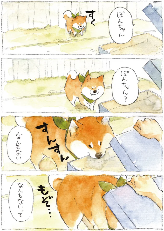『柴犬ぽんちゃん、今日もわが道を行く2』（22）