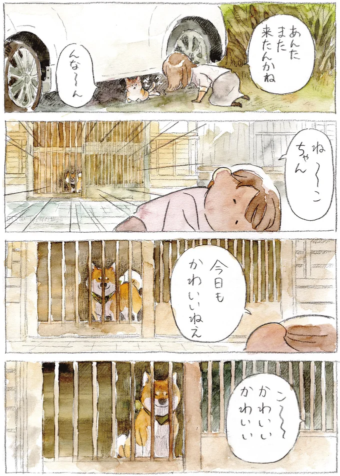 『柴犬ぽんちゃん、今日もわが道を行く2』（24）