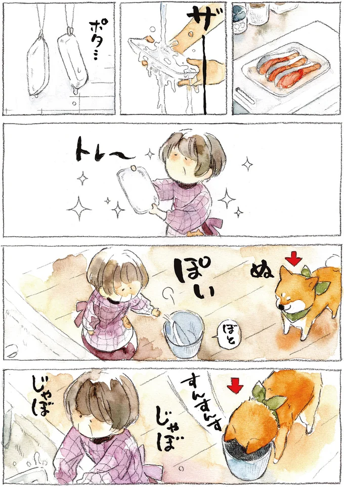 『柴犬ぽんちゃん、今日もわが道を行く2』（25）