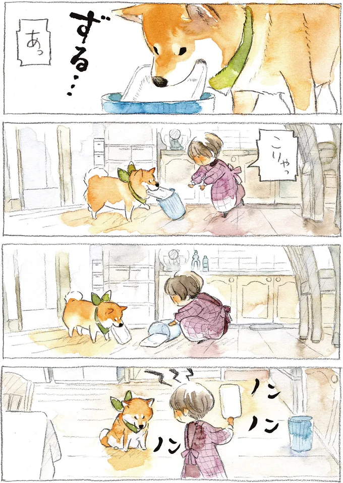『柴犬ぽんちゃん、今日もわが道を行く2』（26）