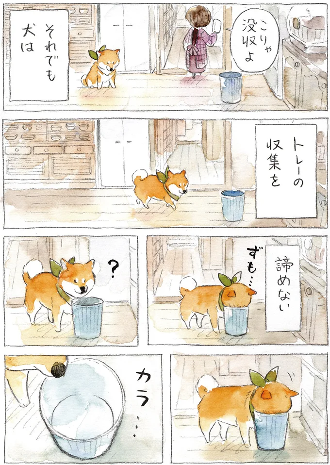 『柴犬ぽんちゃん、今日もわが道を行く2』（27）
