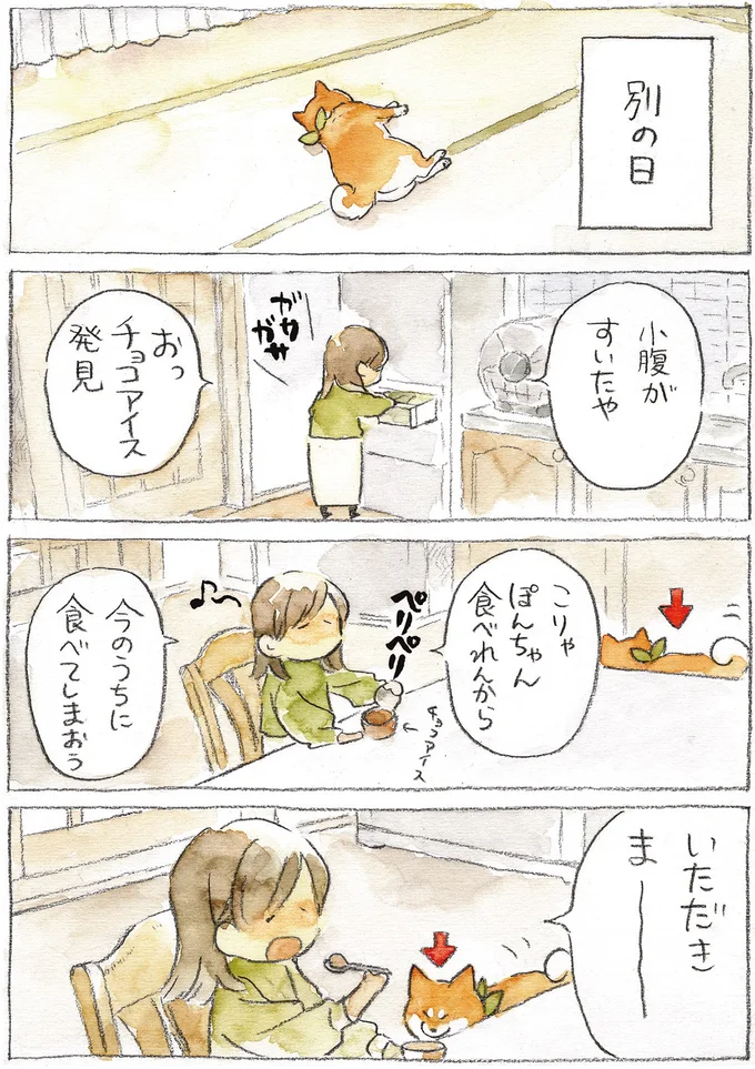 『柴犬ぽんちゃん、今日もわが道を行く2』（30）