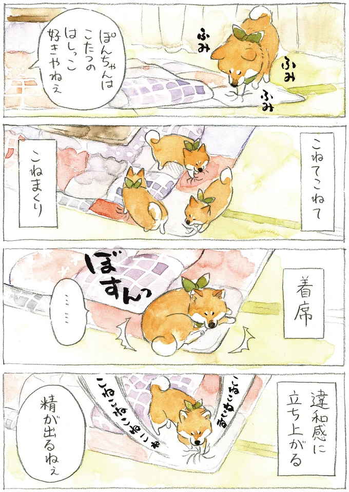 『柴犬ぽんちゃん、今日もわが道を行く2』（33）