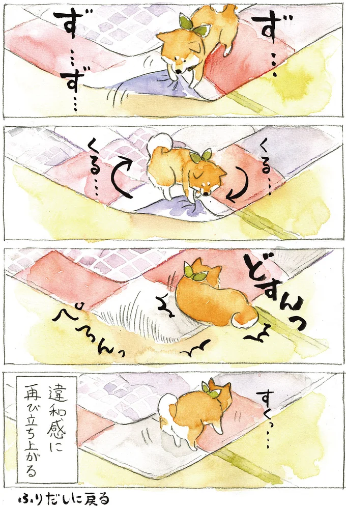 『柴犬ぽんちゃん、今日もわが道を行く2』（34）