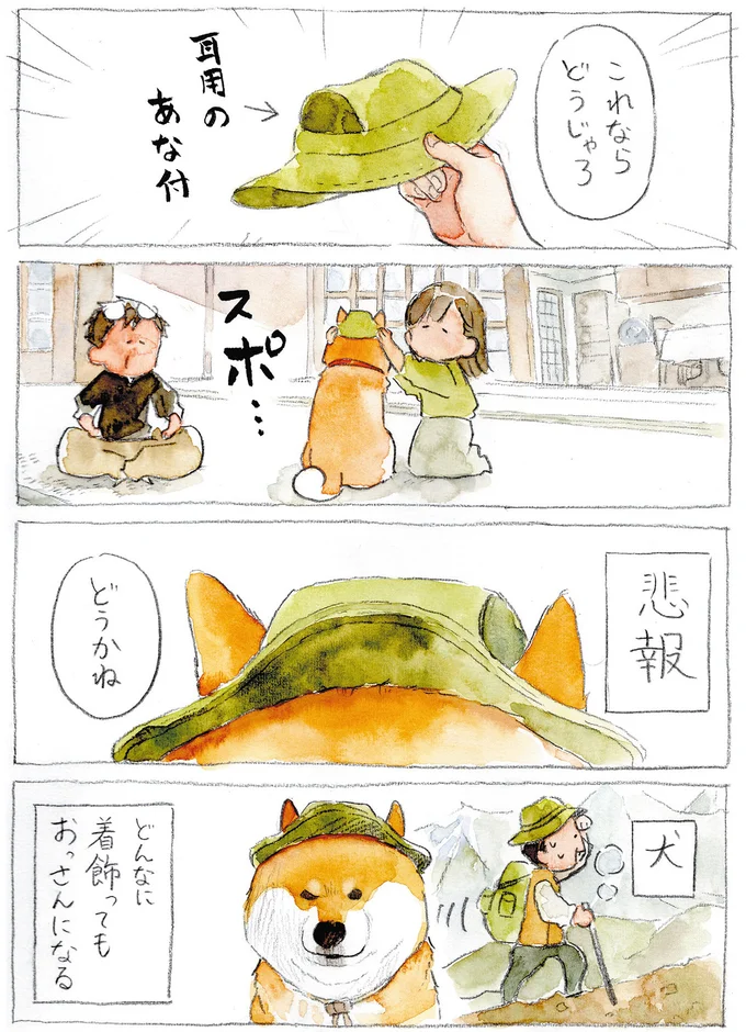 『柴犬ぽんちゃん、今日もわが道を行く2』（36）