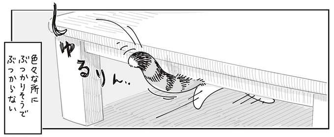 ごきげんな時の愛猫のしっぽはぶつかりそうでぶつからない。でも飼い主には...？／夜は猫といっしょ8（1）