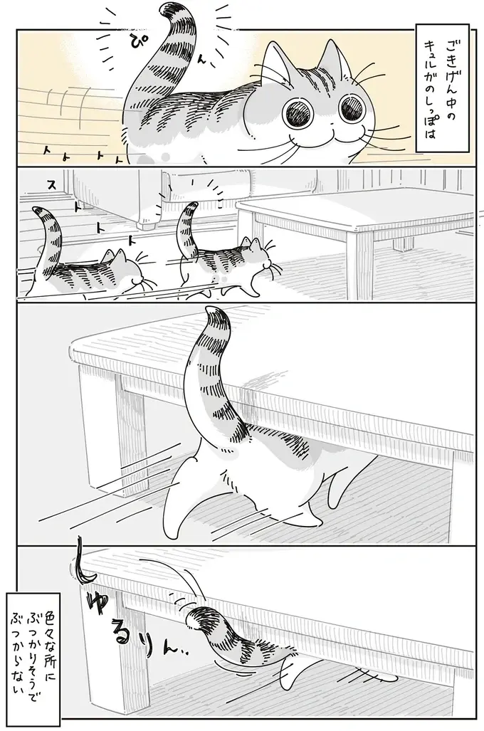 ごきげんな時の愛猫のしっぽはぶつかりそうでぶつからない。でも飼い主には...？／夜は猫といっしょ8（3）