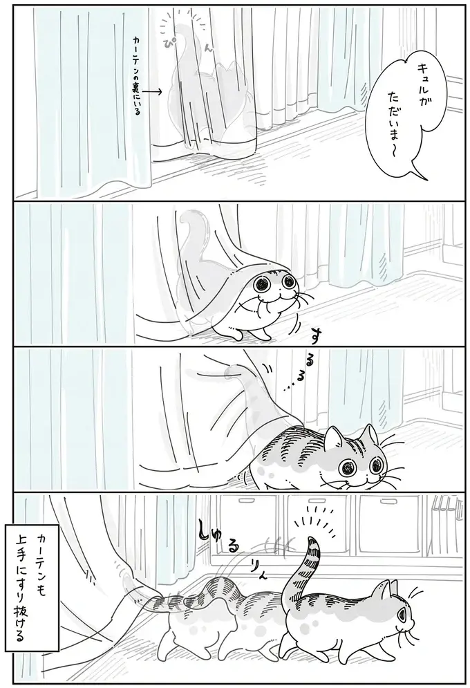 ごきげんな時の愛猫のしっぽはぶつかりそうでぶつからない。でも飼い主には...？／夜は猫といっしょ8（4）