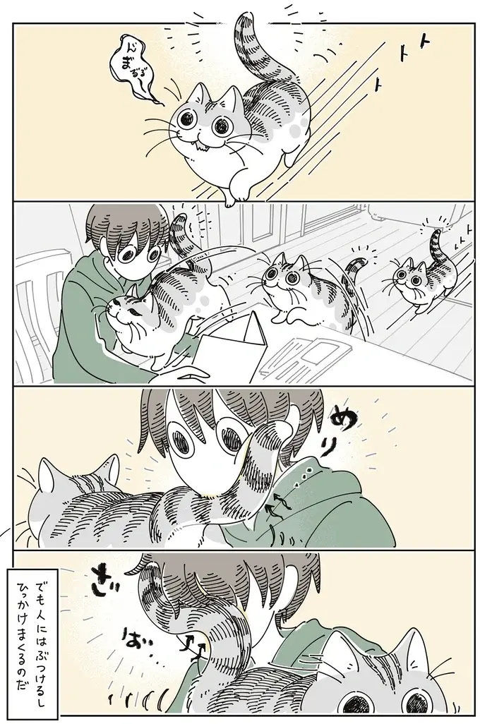 ごきげんな時の愛猫のしっぽはぶつかりそうでぶつからない。でも飼い主には...？／夜は猫といっしょ8（5）